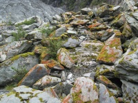 Iron rocks and moss.jpg